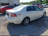 Acura Tl 3.2 19UUA66228A019151 снимка