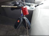 Miniaturka zdjęcia 11