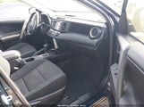 Toyota Rav4 Xle 2T3WFREV6JW419873 снимка