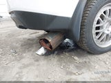 Miniaturka zdjęcia 6