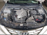 Hyundai Sonata Limited 2.0T 5NPEC4AB6DH511287 снимка