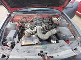 Ford Mustang V6 Deluxe/V6 Premium 1ZVFT80N255136827 photo