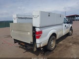 Ford F150 1FTPF1CT6BKD94801 fotografie