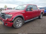 Ford F-150 Fx4 1FTFW1ET6EFA52304 снимка
