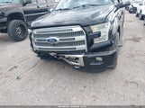 Ford F-150 Platinum 1FTEW1EGXGFD19073 снимка