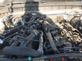 Ford Bronco Big Bend 1FMDE7BH4RLB10202 photo