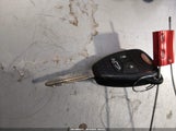 Miniaturka zdjęcia 11