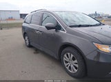 Honda Odyssey Ex-L 5FNRL5H60EB067002 снимка