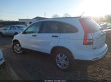 Honda Cr-V Ex 5J6RE4H5XBL020767 снимка