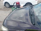 Miniaturka zdjęcia 6