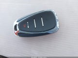Miniaturka zdjęcia 11