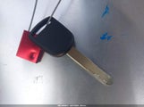 Miniaturka zdjęcia 11