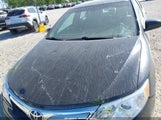 Toyota Camry Le 4T1BF1FK6DU228973 fotografie