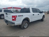 Ford F-150 Xlt 1FTEW1E48KKE67096 снимка