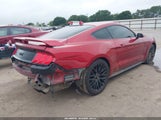 Ford Mustang Gt Fastback 1FA6P8CF6L5183647 снимка