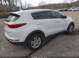 Kia Sportage Lx KNDPM3AC5H7214899 снимка