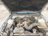 Ford Mustang V6 Deluxe/V6 Premium 1ZVFT80N975280331 photo