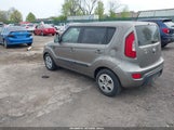 Miniaturka zdjęcia 3