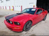 Ford Mustang Gt Deluxe/Gt Premium 1ZVHT82H755218133 снимка