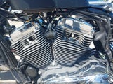 Harley-Davidson Xl1200 V 1HD1LF314DC413254 снимка