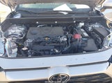 Toyota Rav4 Xle 2T3W1RFV8RC259604 снимка