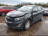 Chevrolet Equinox Ls 3GNAXHEV3JL119384 снимка