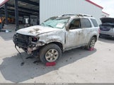 Ford Escape Limited 1FMCU0EG5AKD45887 снимка