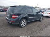 Mercedes-Benz Ml 350 4Matic 4JGBB86E69A484702 снимка
