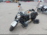 Harley-Davidson Flstfb Fatboy Lo 1HD1JNV13CB045134 снимка