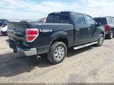 Ford F-150 Xlt 1FTFW1EF7DKE17573 снимка