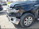 Ford F-150 Xlt 1FTFW1EF7DKE17573 снимка