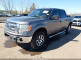 Ford F-150 Xlt 1FTFW1EF1DKF35649 снимка