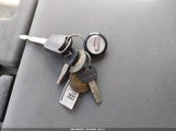 Miniaturka zdjęcia 11