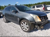 Cadillac Srx Performance Collection 3GYFNBEY2AS600061 снимка