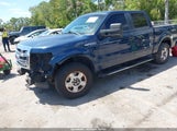 Ford F-150 Xlt 1FTFW1EF7DKF05586 снимка