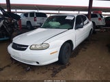 Chevrolet Malibu 1G1ND52J116109765 снимка