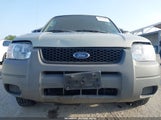 Ford Escape Xls 1FMCU92164DA24373 fotografie