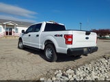 Ford F-150 Xl 1FTEW1EB4LKD26493 снимка
