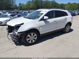 Cadillac Srx Luxury Collection 3GYFNEE3XGS510106 снимка