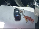 Miniaturka zdjęcia 11