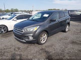 Miniaturka zdjęcia 2
