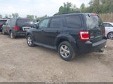 Ford Escape Xlt 1FMCU93G69KC40424 снимка