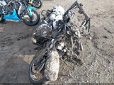Harley-Davidson Flhtkse 1HD1TEH19LB954856 снимка