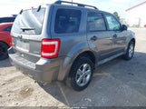 Ford Escape Xlt 1FMCU93709KB79202 снимка