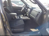 Ford Escape Xlt 1FMCU93709KB79202 снимка