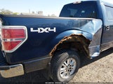 Ford F-150 Xlt 1FTVW1EFXDKF88961 снимка