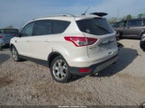 Ford Escape Titanium 1FMCU0J93EUE49134 fotografie