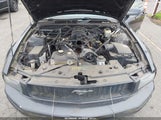 Ford Mustang V6 Deluxe/V6 Premium 1ZVFT80N475227195 photo