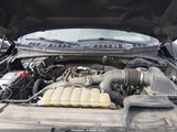 Ford F-150 Xlt 1FTEX1EP7LKE45390 fotografie