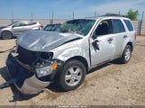 Ford Escape Xlt 1FMCU03709KD15730 снимка